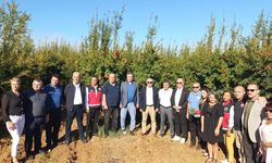 Döşemealtı Narında Coğrafi İşaret Tescili Yolda