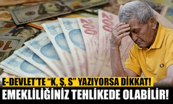 ISPARTALI EMEKLİLER DİKKAT! e-Devlet’te “K, Ş, S” HARFİ GÖRENLERİN EMEKLİLİĞİ İPTAL EDİLEBİLİR!