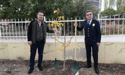Gölhisar’da şehitler anısına fidan dikimi gerçekleştirildi