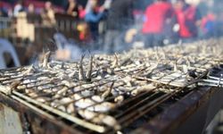 Denizli’de 13. Hamsi Şöleni Düzenlenecek