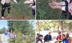 Isparta’da Engelsiz Yaşam Merkezi’nden Doğa Yürüyüşü