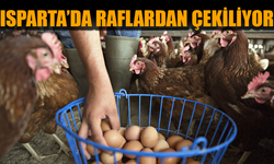 Isparta’da Artık Bu Yumurtalar Satılmayacak: İşte Nedeni