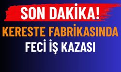 Burdur'da Kereste Fabrikasında Feci İş Kazası