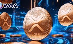WOA Crypto yeşil bulut madenciliği platformunu başlattı