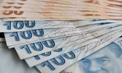 Bakan duyurdu! Hesaplara yatmaya başladı: Kişi başı tam 11 bin 702 TL!