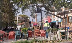 Şarkikaraağaç’ta ağaç bakım çalışması gerçekleştirildi