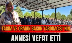 Tarım ve Orman Bakan Yardımcısı'nın annesi hayatını kaybetti