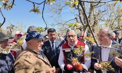 Uluborlu’da 51,5 milyon liralık don desteği çiftçilerin hesaplarında