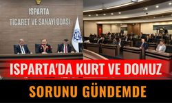 Isparta'da Kurt ve Domuz Sorunu Gündemde