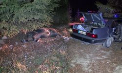 Sürücü Ne Olduğunu Anlamadı! Isparta’da İlginç Kaza
