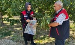 Kiraz ve Vişne Bahçelerinde Xylella fastidiosa Denetimi