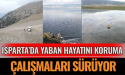 Isparta’da yaban hayatını koruma çalışmaları sürüyor