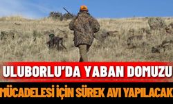 Uluborlu’da yaban domuzu mücadelesi için sürek avı yapılacak