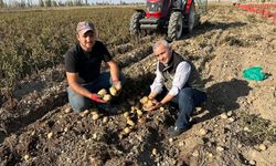 Afyonkarahisar’da patates tarlaları denetlendi