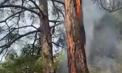 Sütçüler’de Yıldırım Düşmesi Sonucu Yangın Çıktı