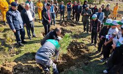 Aksu’da Milli Ağaçlandırma Günü Etkinliği