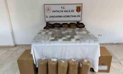 Antalya’da Binlerce Makaron Ele Geçirildi