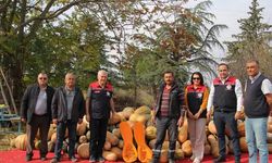 Isparta’da Bal Kabağı Umudu: Verim Yüksek, Moral Yerinde