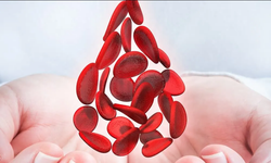 8 aylık Oğuz Kağan için uygun ilik aranıyor