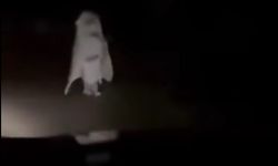 Ana yolda görülen beyaz çarşaflı kadın merak konusu oldu