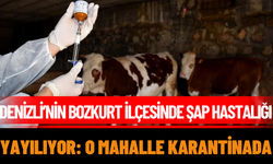 Denizli’nin Bozkurt İlçesinde Şap Hastalığı Yayılıyor: O Mahalle Karantinada