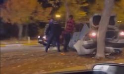 Direksiyon Hakimiyetini Kaybetti, Ağaca Çarparak Durabildi