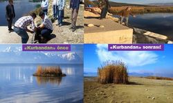 Eğirdir Gölü İçin Alarm: “Devasa Borularla Su Çekmeyin, Gölü Kurutursunuz”