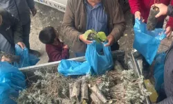 Eğirdir’de Yeşil Vatan Seferberliği kapsamında fidan dağıtıldı