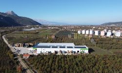 Elma Üretiminde Soğuk Hava Depoları Büyük Önem Taşıyor