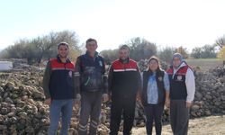 Gönen’de 2025 şeker pancarı hasadı: Rekolte beklentisi yüzleri güldürüyor