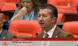 CHP’li Akbulut uyardı: Hayvancılık bitme noktasına gidiyor!