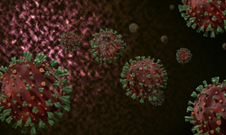 7 Mutasyonlu Süper Grip Geliyor! Uzmanlar: Böyle Bir Sezon Görmedik