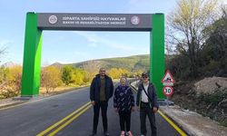 HAYKO; “Hayvan Bakım Merkezi Özenli Ve Detaylı Yapılmış”