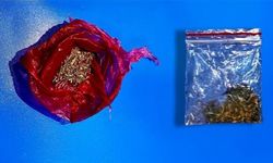 Isparta’da 1.83 gr esrar maddesi ele geçirildi