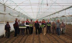 Isparta’da 343 bin 500 marul fidesi üreticiyle buluştu