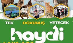 Isparta’da jandarma hayvan hakları için sahada!