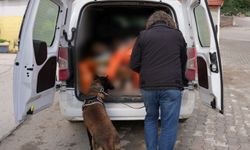 Isparta’da uy*şturucu operasyonu 1 gözaltı