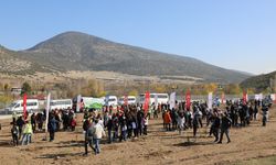 ISUBÜ, Milli Ağaçlandırma Seferberliğinde