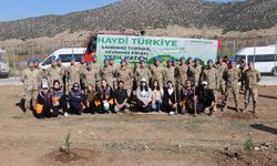 Jandarma Ekipleri Milli Ağaçlandırma Günü’nde Fidan Dikti