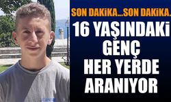 16 Yaşındaki Genç Her Yerde Aranıyor