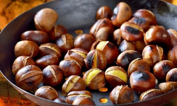 3 kestane gerçekten 1 dilim ekmeğe eşit mi? Uzmanlar uyardı: Tok tutuyor ama ölçüyü kaçırmayın