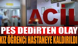 Pes dedirten olay kız öğrenci hastaneye kaldırıldı