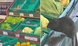 Manav Reyonunda ŞOK! 3 Harfli Market Zincirinde Kameraya Yansıyan GÖRÜNTÜ Herkesi Şaşkına Çevirdi