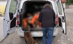 Narkotik Ekiplerinden Isparta’da Başarılı Operasyon