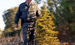 Orman Genel Müdürlüğü 496 personel alacak