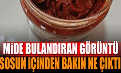 Mide Bulandıran Görüntü! Sosun İçinden Bakın Ne Çıktı