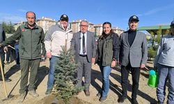 Şuhut’ta Milli Ağaçlandırma Günü Etkinliği