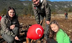 Sütçüler’de Milli Ağaçlandırma Günü’nde 1.250 Fidan Toprakla Buluştu