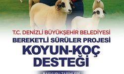 Denizli Büyükşehir Belediyesi üreticinin yanında!