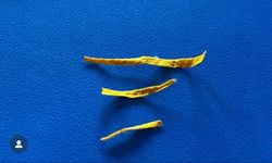 Yunus Timleri Isparta’da Uy*şturucuya Geçit Vermiyor